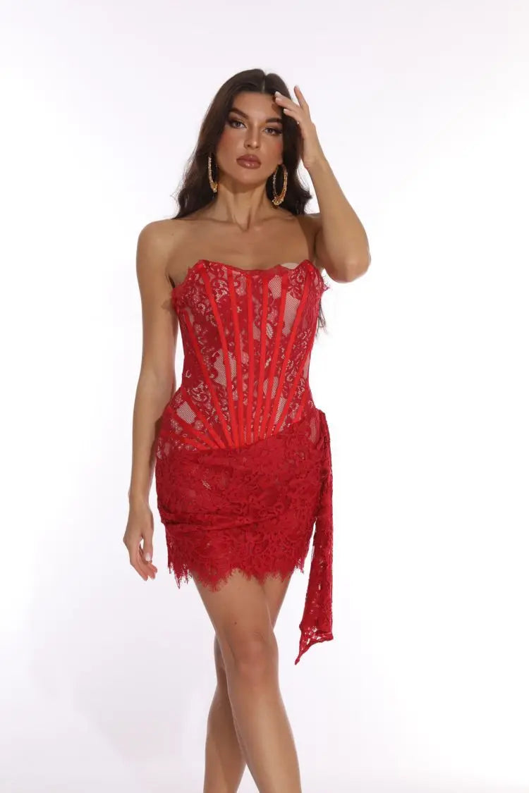 Strapless Lace Slim Fit Mini Dress